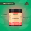 Suplemento Multivitamnico Colagnica con 180 capsulas 500 mg de Colgeno
