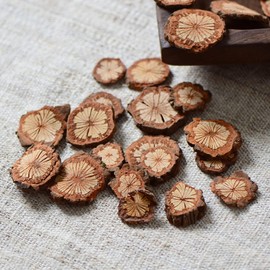 GALPADA Christmas Tree Bark Wood Slices Xmas Ornaments Mini Natural Vintage Round Log Discs for Arts & Crafts Home DIY Table Decoration