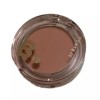 Vanilla Co. 바닐라코 프라이밍 베일 치크 6g 5종 [PK05 플로라] Banila Co. Priming Veil Cheek 6g 5 Types [PK05 Flora]
