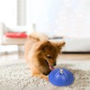 Fuzzl Chuck & Treat Sky Eco Rubber Saucer Durable Chew