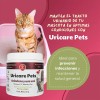 Suplemento Natural Problemas Urinarios Perros Y Gatos 2 Pack
