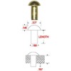 3/16" X 1/2" Solid Brass Round Head Rivet, .335 Head