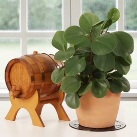 com-four® 4x coasters with felt, felt glides for vases, flower pots, bowls and tubs - protects against scratches, moisture on parquet, laminate, tiles