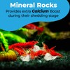 JOR 2 oz Hermit Crab Rocks, Natural Calcium Stones for