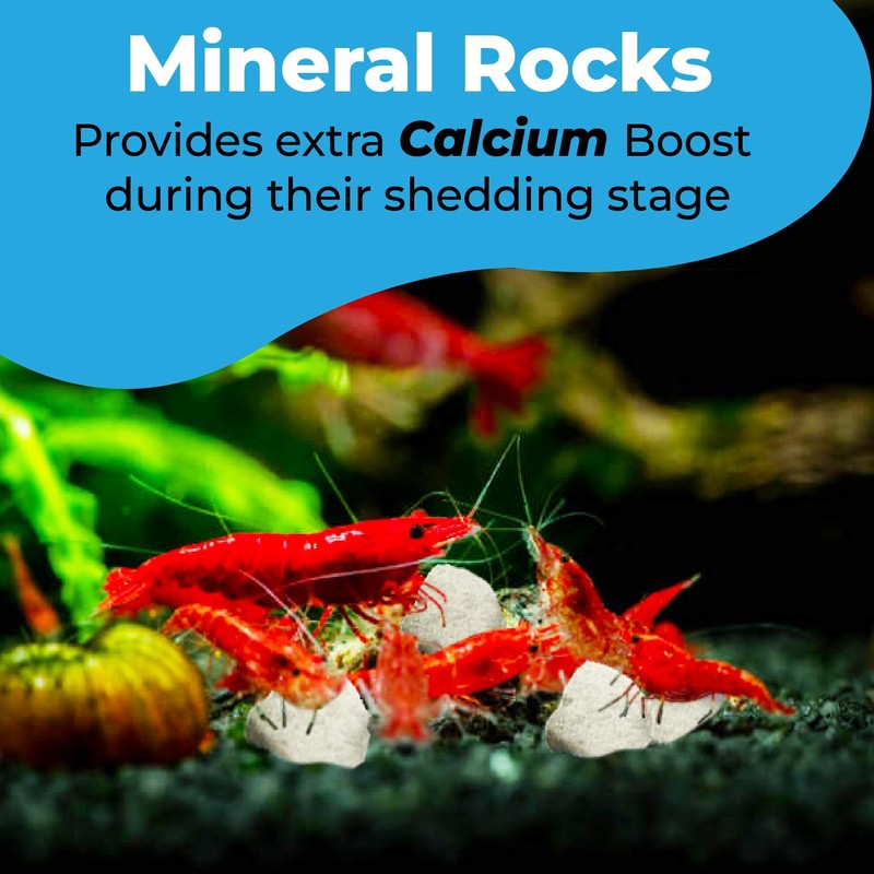 JOR 2 oz Hermit Crab Rocks, Natural Calcium Stones for