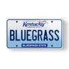 Bluegrass Kentucky State License Plate Style Magnet for Car Fridge