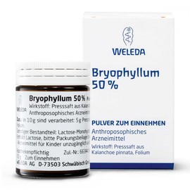 BRYOPHYLLUM 50% Oral Powder 50 g