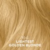 Clairol Permanent Crème, 10g Lightest Gold Blond, 2 oz.