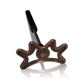 IGOTCHA Pool Bridge Retractable Pool Bridge, Black