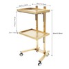 2 Tier Folding Salon Rolling Cart,Stainless Steel Barber Trolley,Salon Server