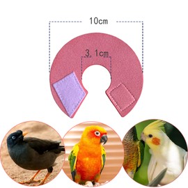 Bennyue Bird Elizabeth Collar Collar Bird Parrot Protection Collar Parrot Parrot Parakeet Fiction Ten Sisters Canary ed Pigeon Pink