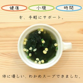 Chin Dashi Wakame Seaweed Soup (3 Bags)
