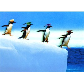 Line of Penguin Grads Graduation Card