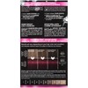 Schwarzkopf Color Ultime Hair Color, 5.23 Charcoal Fuchsia, 1 Application