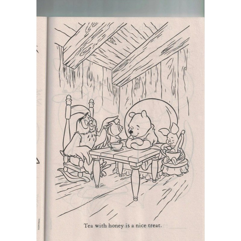 Winnie the Pooth Hide and Seek Coloring Book, ~96 pages,