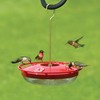 Aspects HummZinger HighView 12 Oz Hanging Hummingbird Feeder - 429,
