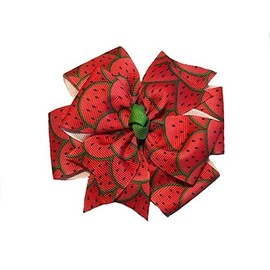 Melons Pinwheel Hair Bow