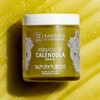 Xamania Pomada Cicatrizante Caléndula Cacao Karité Crema Quemaduras Eczema Rozaduras
