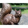 Thermobrass Bronze Sculpture Small Squirrel Decoration for Home and Garden