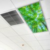 Fluorescent Light Covers for Classroom Office - Eliminate Harsh Glare