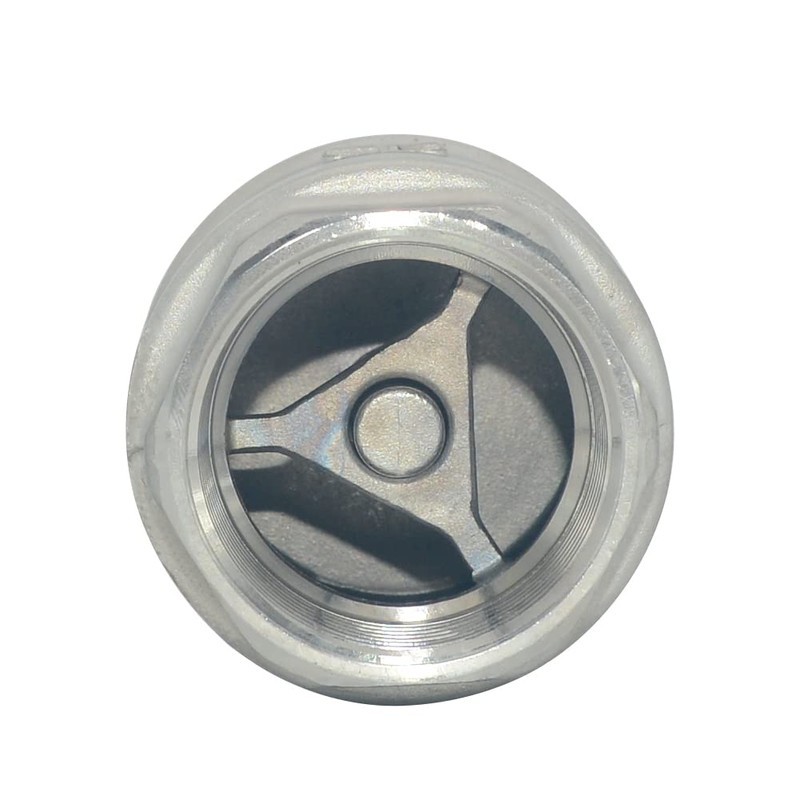 Dsmpipeft NPT Female WOG1000 Check Valve,Vertical Check Valve,NPT Spring Loaded
