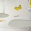 Lind DNA - Curve L Nupo Pastel Green Gift Set