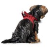 HUNTER Love Dog Harness, Colour: Brown, Soft Cowhide Leather, Breathable