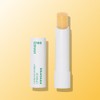 innisfree 이니스프리 유채꿀 립밤 3.5g