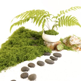 Caiyjhao Artificial Green Moss is Used for Potted Plants, and Moss Crafts are Used for Fairy Tale Garden Houses, Garlands, Glass Container Fillers and Wedding Wall Decoration (7.05 Ounces)