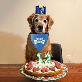 Dog Birthday Bandana Collar, its My Birthday Dog Bandana Collar, Dog Birthday Bandana Over The Collar, Pet Scarf with Adjustable Collars for Small Medium Large Dogs Cats Pet (Large, Blue)