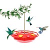 Hummingbird Feeders for Outdoors 12 OZ Bee Proof Plastic Humming