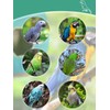 Voarge Nest Winter Warm Nest Cage for Birds, Winter Plush