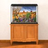 MIRRORANG 91 x 41 cm Reptile Habitat Background Orange Desert