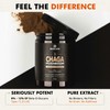 SOLVE Labs® ● Premium Siberian Chaga Extract Powder ● 10%