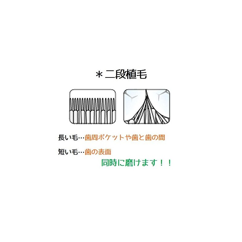 Tepe Supreme 2 Tier Planting Hair Set of 5