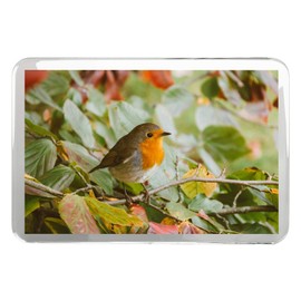 1 x Fridge Magnet -Cute Red Robin Bird Classic Fridge Magnet - Winter Autumn Nature Fun Gift #14318