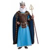 Men's King Neptune Costume, Blue/Brown, One Size