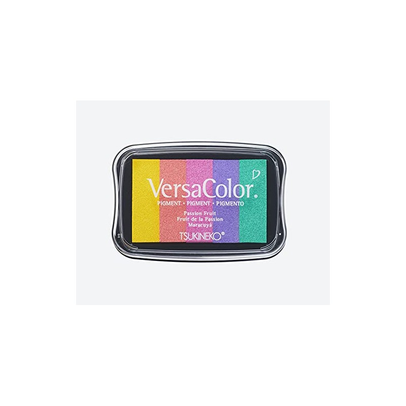 Rayher 2839799 Tsukineko Versacolor Pigment Ink Pad, Rainbow, 5 Colours,
