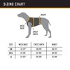 Browning Pet Hi-Vis Safety Vest for Dogs, Safety Orange, Large,