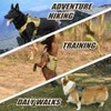 CBBPET Tactical Dog Harness for Small Medium Large Dogs No