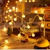 WFGGEH Globe String Lights, 10ft 20 LED USB Powered Globe