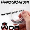 Angel Berger Wild Devil Baits FC 100% Fluorocarbon Super Strong