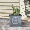 Kante Square Lion Head Concrete Planter, Classic English Style Plant