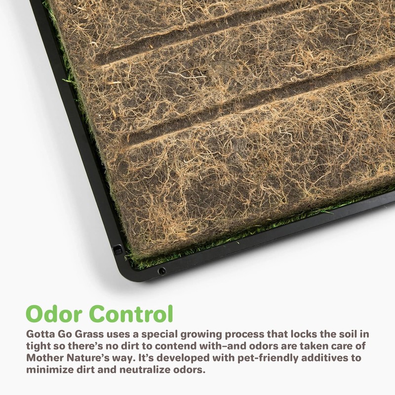 Gotta Go Grass - Real Dog Grass for Pet Training,