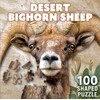 Desert Bighorn Sheep 100 pc