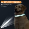 Collar reflectante para perro y gato, ajustable de neopreno suave