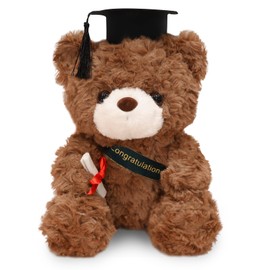 Teddy Bear Plush Toy, Exam Bear, Teddy Plush Bear with Diploma and Doctoral Hat, Bachelor's Degree Gift, Graduation Gift, Bachelor Gift, Passed Exam Gift, Gifts for Bachelor Degree