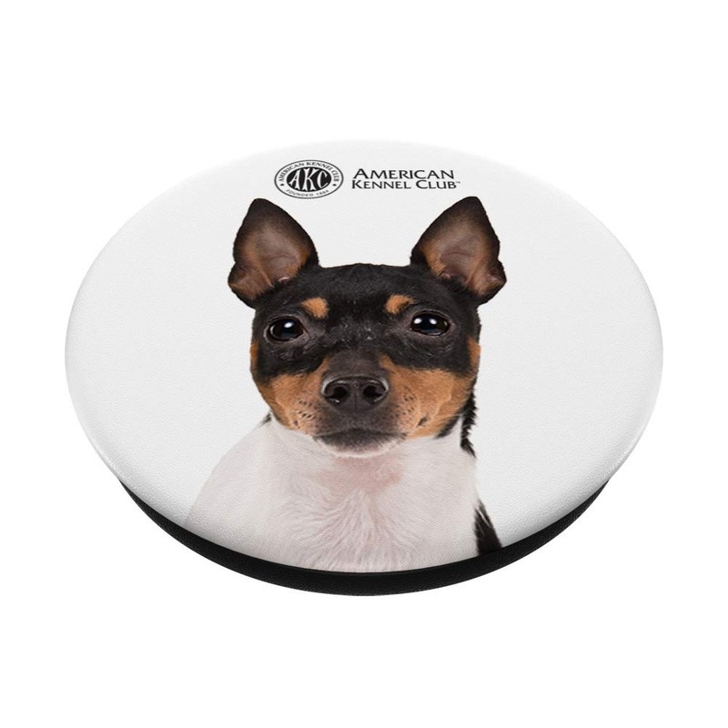 AKC Toy Fox Terrier Photo PopSocket