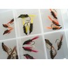 BestCity Fly Fishing Coloured and Natural Diawl Bach 24 Flies