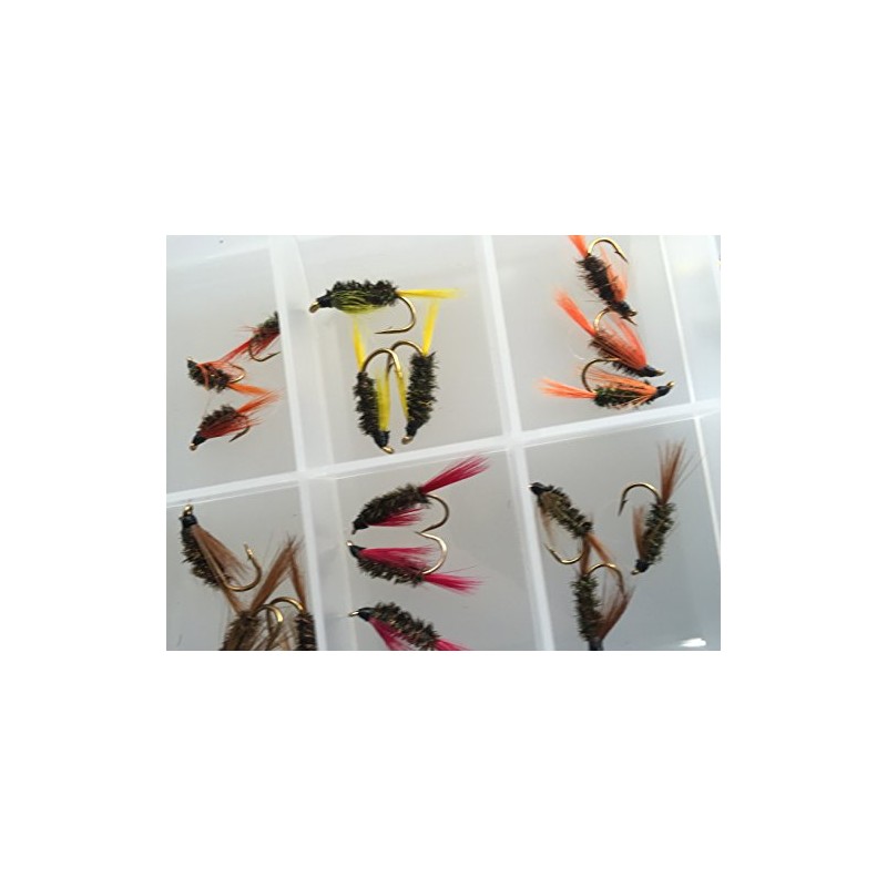 BestCity Fly Fishing Coloured and Natural Diawl Bach 24 Flies